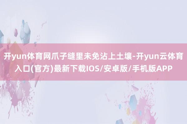 开yun体育网爪子缝里未免沾上土壤-开yun云体育入口(官方)最新下载IOS/安卓版/手机版APP
