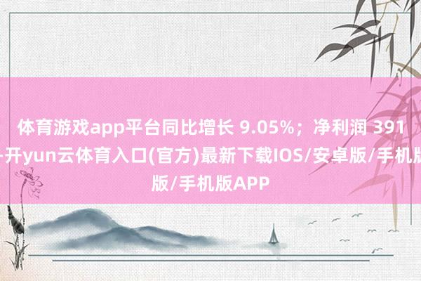 体育游戏app平台同比增长 9.05%；净利润 391 亿元-开yun云体育入口(官方)最新下载IOS/安卓版/手机版APP